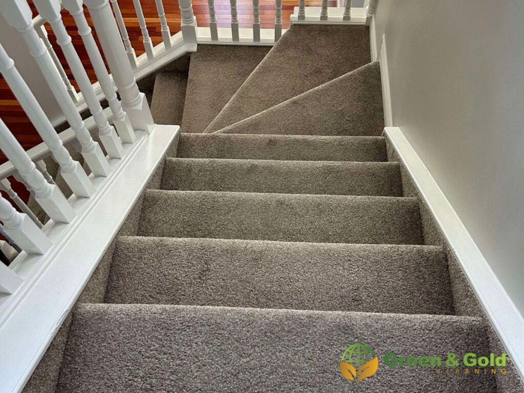 carpet