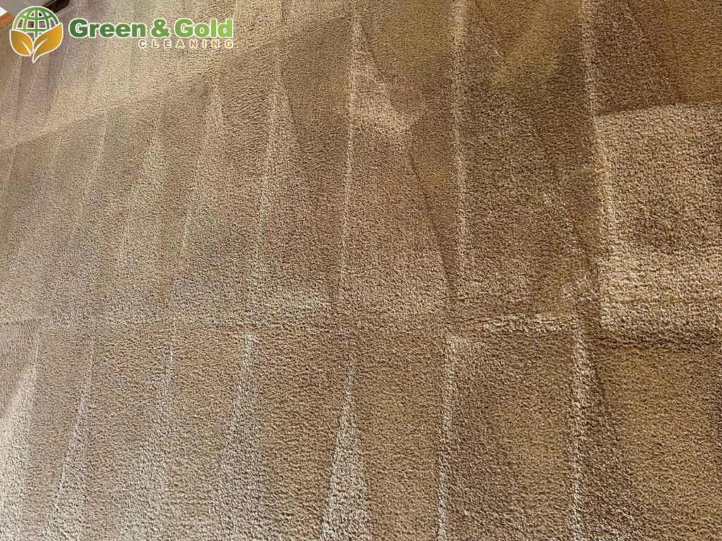 carpet cleaning