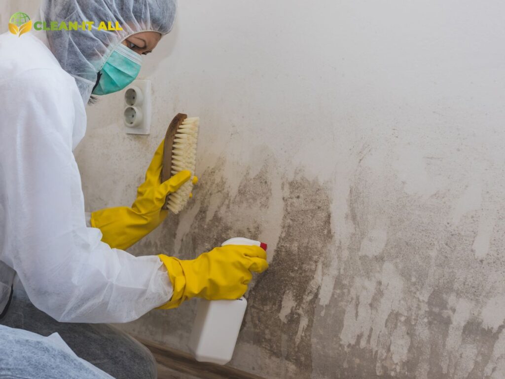 Home Detailing in Kamloops